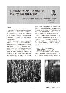 北海道の小麦における赤かび病 および紅色雪腐病の防除