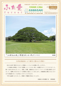 「この木なんの木」で有名なモンキーポッド（ハワイ）