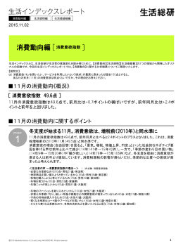 生活インデックスレポート・消費動向編・11月