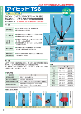 アイヒット TS6（PDF 524KB）