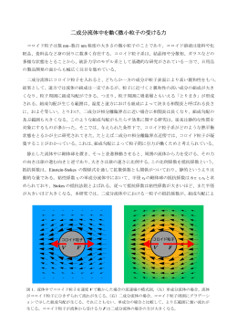 二成分流体中を動く微小粒子の受ける力