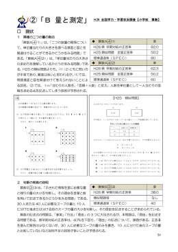 「B量と測定」（PDF：217KB）