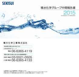 積水化学グループ中間報告書2015（541KB）