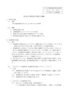 松本市の障害児の現状と課題（資料）（PDF：265KB）