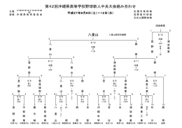 第42回沖縄県高等学校野球新人中央大会組み合わせ