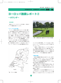 ヨーロッパ酪農レポート②～オランダ