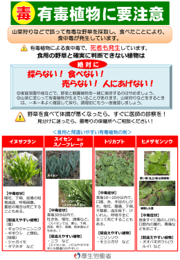 パンフレット：有毒植物に要注意！
