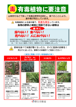 有毒植物に要注意（厚生労働省）（PDF 257.7KB）（新しいウィンドウで