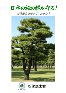 日本の松の緑を守る！