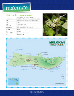 モロカイ島 Island of Moloka`i - Hawaii Tourism Authority