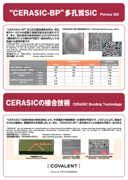 “CERASIC-BP”多孔質SiC