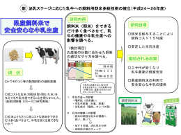 新 泌乳ステージに応じた乳牛への飼料用籾米多給技術の確立（平成24