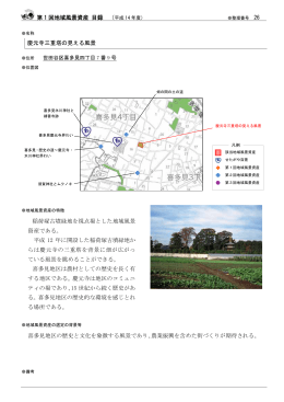 慶元寺三重塔の見える風景（PDF形式 51キロバイト）