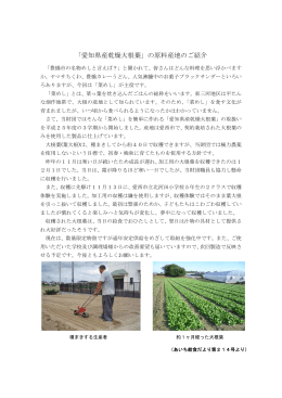 「愛知県産乾燥大根葉」の原料産地のご紹介