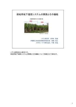 パディ研究所の小野寺です。 畑地用地下灌漑システムの開発とその機能