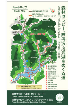 森林 セ ラ ピ ー 西 丹 沢 ・ 丹 沢 湖 を め ぐ る 道
