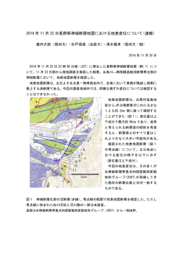 2014 年 11 月 22 日長野県神城断層地震における地表変位について