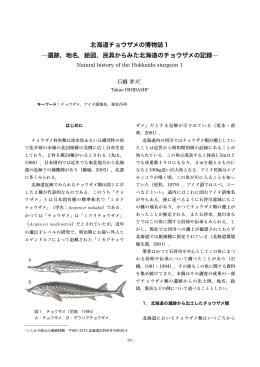北海道チョウザメの博物誌1 ―遺跡，地名，絵図，民具からみた北海道の