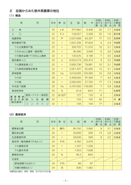 全国からみた栃木県農業の地位（PDF：59KB）