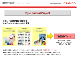 Style Control Project
