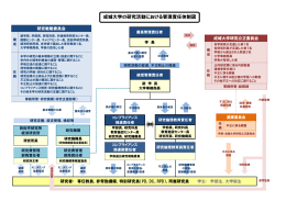 成城大学の研究活動における管理責任体制図