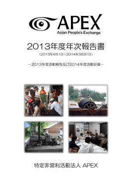 2013年度年次報告書（PDF形式、3.8MB）