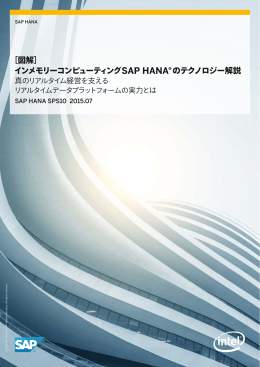 インメモリーコンピューティング SAP HANA®のテクノロジー解説