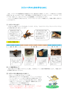 スズメバチから身を守るために (PDF : 402KB)