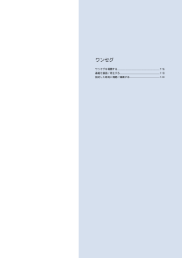 ワンセグ（PDF形式, 393 KB）