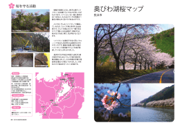 奥びわ湖桜マップ - 長浜・米原・奥びわ湖を楽しむ観光情報サイト