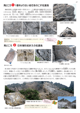 見どころ ❶1億年より古い岩石をのこす佐渡島 見どころ 日本海形成まえ