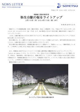 弥生台駅の桜をライトアップ＜相模鉄道（株）