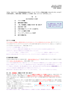 アマチュア野球内規抜粋 解説（2014.12.2up）