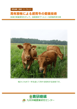 周年放牧による肥育牛の飼養技術 - 農業・食品産業技術総合研究機構