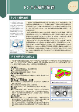 トンネル解析業務(PDF 467KB)