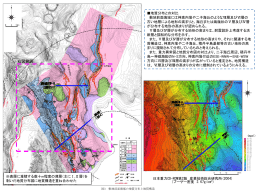 PDFファイルを開きます。図3 敷地前面海域の地質分布と地質構造
