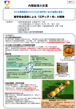 内閣総理大臣賞（PDF：533KB）