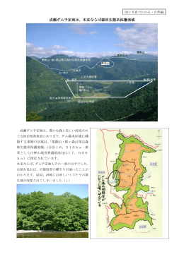成瀬ダム予定地は、本来ならば森林生態系保護地域