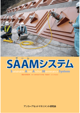 SAAMシステムパンフレット - LLCアンカーアセットマネジメント研究会
