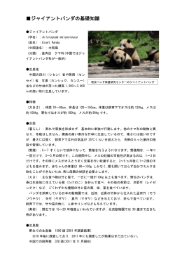 ジャイアントパンダの基礎知識（八木山動物公園）