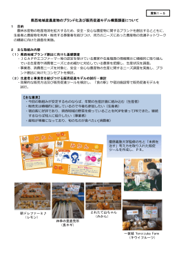 県西地域産農産物のブランド化及び販売促進モデル構築調査について