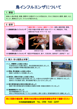 鳥インフルエンザについて（PDF：202KB）