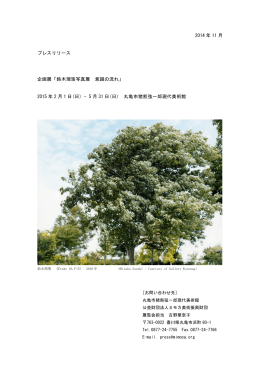 2014 年 11 月 プレスリリース 企画展「鈴木理策写真展 意識の流れ