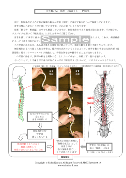 次に、側屈操作による左右の胸郭の動きが背骨（脊柱）に及ぼす動き