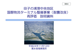 田子の浦港中央地区 国際物流ターミナル整備事業（耐震改良） 再評価
