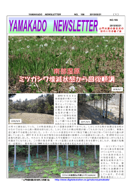 YAMAKADO NEWSLETTER NO．186 2015/05/21 （1） NO.186 2015