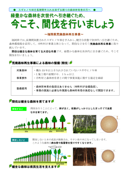 森林所有者向けチラシ [PDFファイル／342KB]