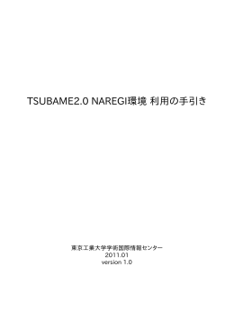 TSUBAME2.0 NAREGI環境 利用の手引き