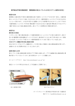 理学療法学専攻模擬実習 『膝周囲筋の筋力バランスと片足スクワット