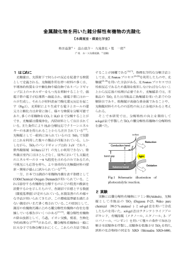金属酸化物を用いた難分解性有機物の光酸化（PDF:244KB）